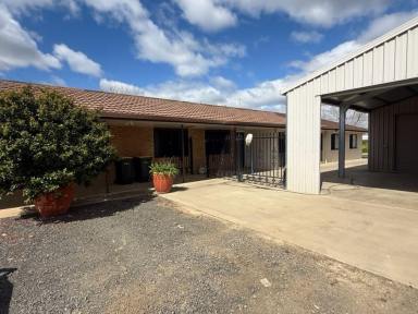 House For Lease - NSW - Moree - 2400 - 3 Bedroom House  (Image 2)