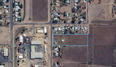 Industrial/Warehouse For Sale - NSW - Moree - 2400 - Vacant Industrial Block  (Image 2)