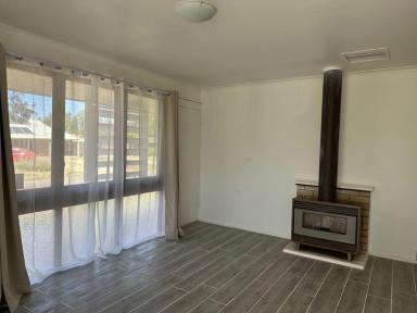 House For Lease - NSW - Moree - 2400 - 313 Auburn Street, Moree, NSW 2400  (Image 2)