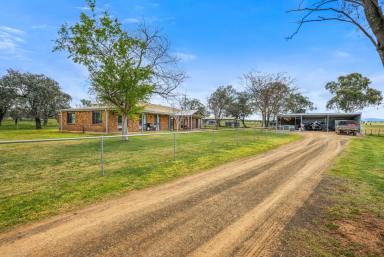 Mixed Farming Auction - NSW - Manilla - 2346 - OPPORTUNITY, VERSATILITY & PRODUCTION  (Image 2)