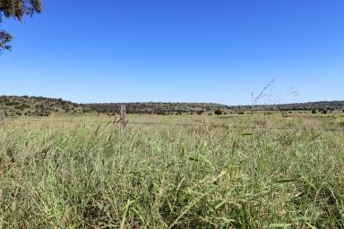Other (Rural) Auction - QLD - Prospect - 4715 - "Brae View" Executive Homestead on Softwood Scrub just Minutes to Biloela  (Image 2)