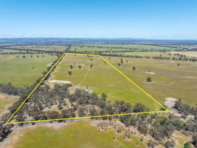 Lifestyle For Sale - VIC - Euroa - 3666 - Lifestyle Led, Farm Ready: 5BR Home with Shearing Shed & Yards  (Image 2)