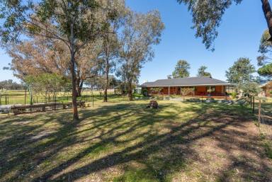 Lifestyle For Sale - VIC - Euroa - 3666 - Lifestyle Led, Farm Ready: 5BR Home with Shearing Shed & Yards  (Image 2)