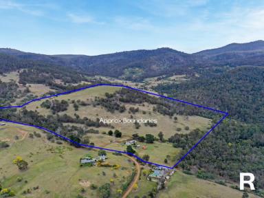House For Sale - TAS - Colebrook - 7027 - Country Living on 100 Acres of Prime Pasture  (Image 2)