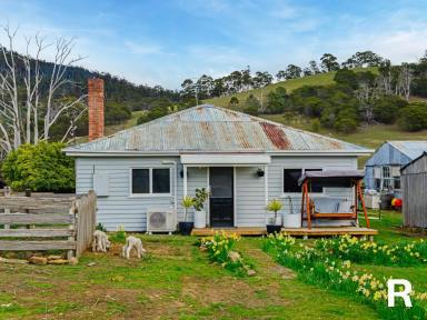 House For Sale - TAS - Colebrook - 7027 - Country Living on 100 Acres of Prime Pasture  (Image 2)