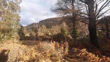 Residential Block For Sale - NSW - Lithgow - 2790 - Prime Land Opportunity in Lithgow!  (Image 2)