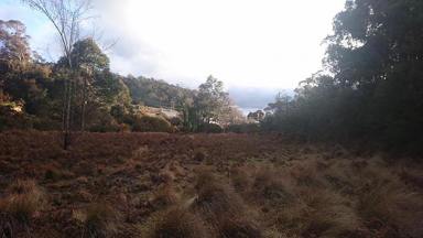 Residential Block For Sale - NSW - Lithgow - 2790 - Prime Land Opportunity in Lithgow!  (Image 2)