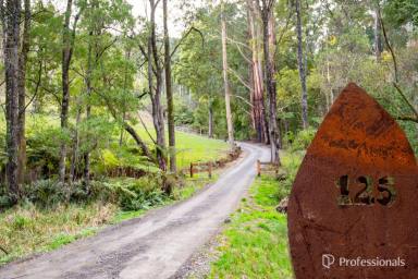 House For Sale - VIC - Three Bridges - 3797 - Lifestyle Living with Sweeping Valley Views  (Image 2)