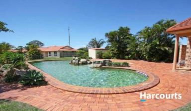 House For Lease - QLD - Norville - 4670 - Modern Unit With Shared Pool  (Image 2)