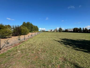 Residential Block For Sale - TAS - Deloraine - 7304 - Secure Your Slice of Tasmania  (Image 2)