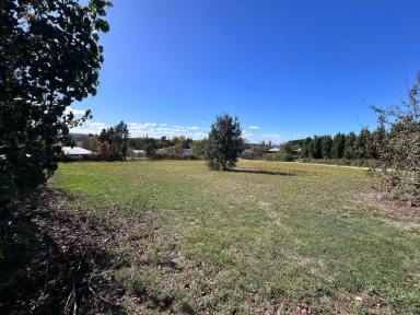 Residential Block For Sale - TAS - Deloraine - 7304 - Secure Your Slice of Tasmania  (Image 2)
