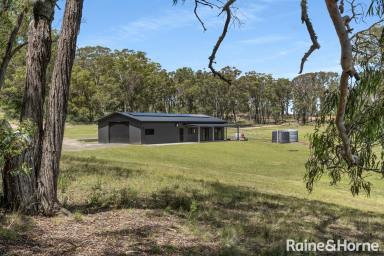 Lifestyle For Sale - NSW - Oallen - 2622 - Beverley Hills Estate  (Image 2)