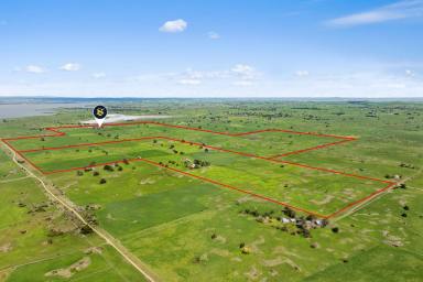 Dairy For Sale - VIC - Ondit - 3249 - Top Class Colac District Dairy Farm  (Image 2)