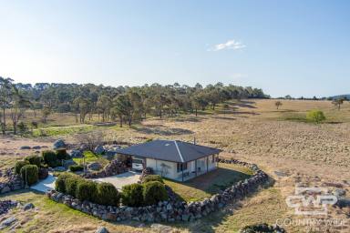 Farmlet For Sale - NSW - Glen Innes - 2370 - Private Small Acreage Close to Town  (Image 2)