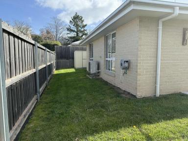 Unit For Sale - TAS - Deloraine - 7304 - Low maintenance easy living unit  (Image 2)