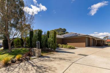 Townhouse For Sale - ACT - Macgregor - 2615 - Modern Single-Level Townhouse with Exceptional Entertaining and Lifestyle Appeal  (Image 2)