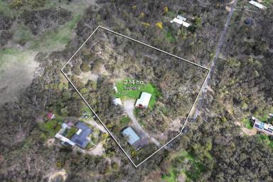 House For Sale - VIC - Smythes Creek - 3351 - Tranquil Bushland Lifestyle with Versatile Shedding & City Convenience  (Image 2)