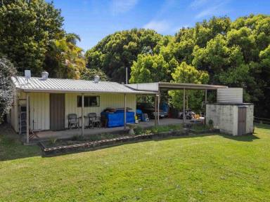 Studio For Sale - QLD - Kin Kin - 4571 - NOOSA HINTERLAND ACREAGE  (Image 2)