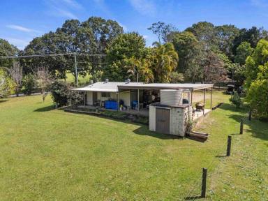 Studio For Sale - QLD - Kin Kin - 4571 - NOOSA HINTERLAND ACREAGE  (Image 2)