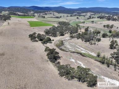 Lifestyle For Sale - NSW - Tenterfield - 2372 - 'Curvey's' - 137.8 Acres of Scenic Grazing & Farming Country.....  (Image 2)
