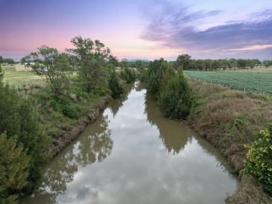 Cropping For Sale - QLD - Junabee - 4370 - BOONARGA RURAL LIFE at its BEST  (Image 2)