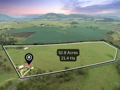 Cropping For Sale - QLD - Junabee - 4370 - BOONARGA RURAL LIFE at its BEST  (Image 2)