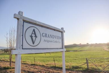 Residential Block Auction - NSW - Timbumburi - 2340 - Grandview - Exceptional Quality Property with a sort after Address  (Image 2)