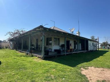 Mixed Farming Auction - NSW - Bukkulla - 2360 - Value for money grazing with reliable water  (Image 2)
