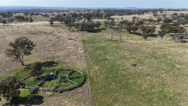 Mixed Farming Auction - NSW - Bukkulla - 2360 - Value for money grazing with reliable water  (Image 2)