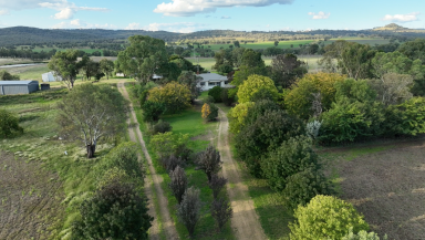 Mixed Farming Auction - NSW - Inverell - 2360 - Turnkey Grazing & Feedlot Opportunity  (Image 2)
