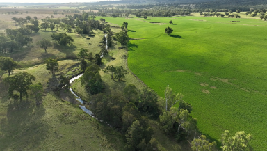 Mixed Farming Auction - NSW - Inverell - 2360 - Turnkey Grazing & Feedlot Opportunity  (Image 2)