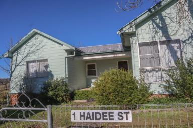 Lifestyle Auction - NSW - Bendemeer - 2355 - Rural Lifestyle, Town Convenience  (Image 2)