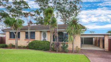 House For Lease - NSW - St Clair - 2759 - 8 Farmer Place St Clair NSW 2759 3 BEDROOM 763.7 sqm PET FRIENDLY  (Image 2)
