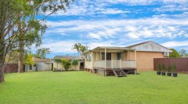 House For Lease - NSW - St Clair - 2759 - 8 Farmer Place St Clair NSW 2759 3 BEDROOM 763.7 sqm PET FRIENDLY (Image 2)