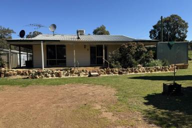 Mixed Farming For Sale - WA - Woottating - 6562 - Versatile Farmlet with Stables, Water & Bushland Retreat   53.92ha (133.18acres)  (Image 2)