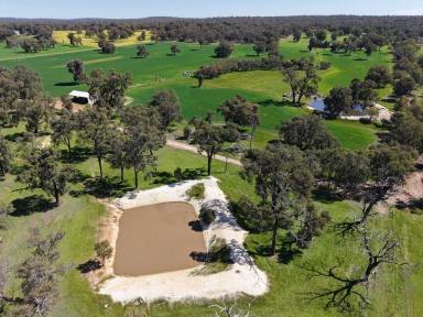 Mixed Farming For Sale - WA - Woottating - 6562 - Versatile Farmlet with Stables, Water & Bushland Retreat   53.92ha (133.18acres)  (Image 2)
