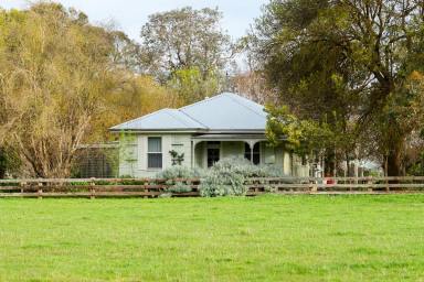 Mixed Farming For Sale - VIC - Hawkesdale - 3287 - Highly productive and recently redeveloped mixed farming opportunity  (Image 2)