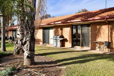 Unit For Sale - VIC - Red Cliffs - 3496 - Buy with your lunch money!  (Image 2)