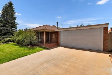 House For Sale - VIC - Irymple - 3498 - Extremely neat & tidy home!  (Image 2)
