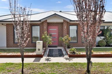 House For Sale - VIC - Mildura - 3500 - Modern Corner Block with Shed and Style  (Image 2)
