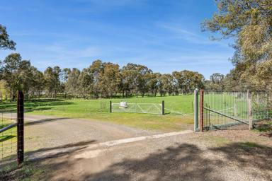 Residential Block For Sale - VIC - Mandurang - 3551 - A Rare Offering on Exclusive Tannery Lane  (Image 2)