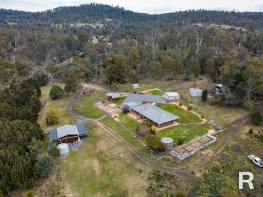 Acreage/Semi-rural For Sale - TAS - Riverside - 7250 - 10ha Property with 2 Dwellings  (Image 2)