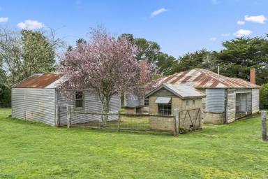 Lifestyle For Sale - VIC - Grenville - 3352 - LIFESTYLE & FARMING POTENTIAL  (Image 2)