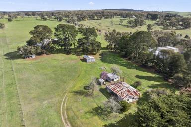 Lifestyle For Sale - VIC - Grenville - 3352 - LIFESTYLE & FARMING POTENTIAL  (Image 2)