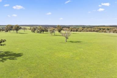 Lifestyle For Sale - VIC - Grenville - 3352 - LIFESTYLE & FARMING POTENTIAL  (Image 2)