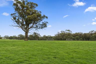 Lifestyle For Sale - VIC - Grenville - 3352 - LIFESTYLE & FARMING POTENTIAL  (Image 2)