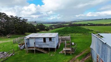 Livestock For Sale - VIC - Scotts Creek - 3267 - QUALITY PICTURESQUE SOUTH WEST VICTORIA COUNTRY  (Image 2)