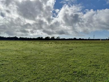 Lifestyle For Sale - SA - Naracoorte - 5271 - Great Starter Block / Hobby Farm - 38.2 acres  (Image 2)
