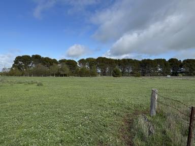 Lifestyle For Sale - SA - Naracoorte - 5271 - Great Starter Block / Hobby Farm - 38.2 acres  (Image 2)