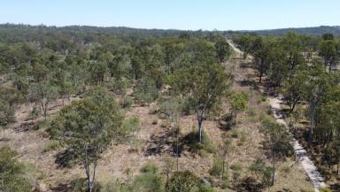 Residential Block For Sale - QLD - Moolboolaman - 4671 - An outstanding opportunity to secure a vacant 4.27-hectare (10.55-acre) lifestyle block  (Image 2)